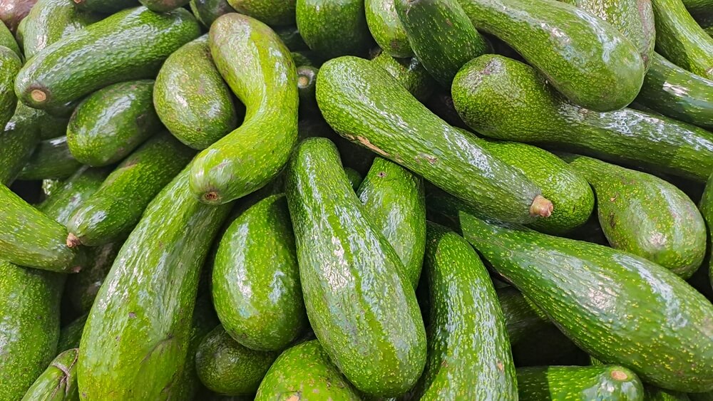 photo-of-long-green-avocados