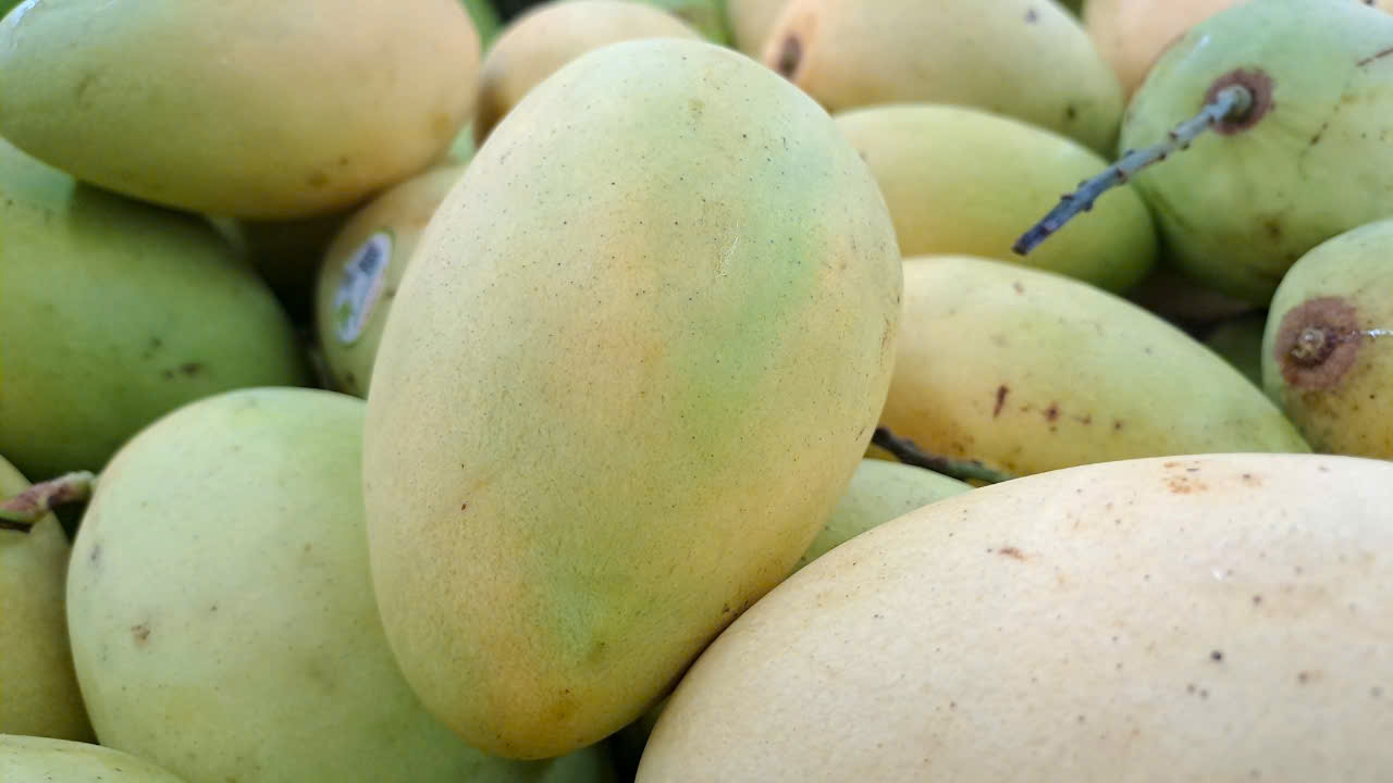 vietnamese-mango
