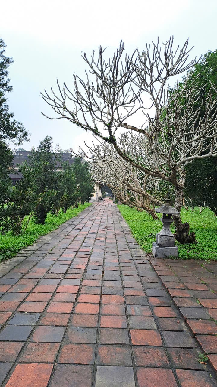 thien-mu-pagoda-in-hue